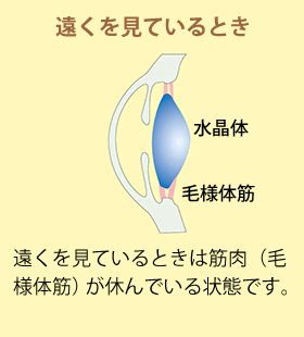遠くを見ているとき