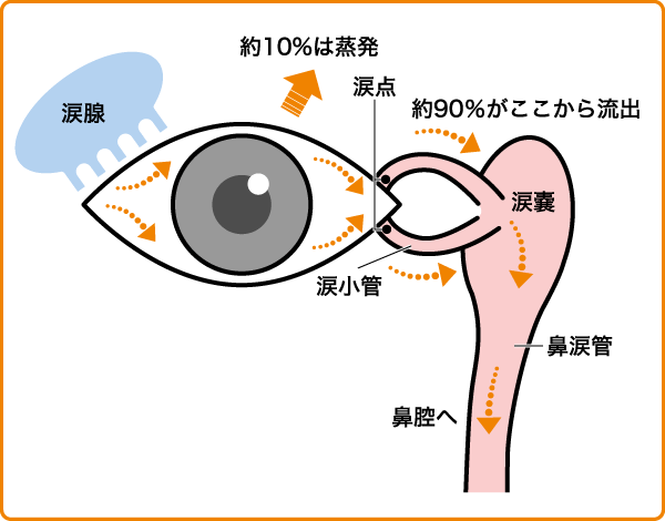 涙道疾患について